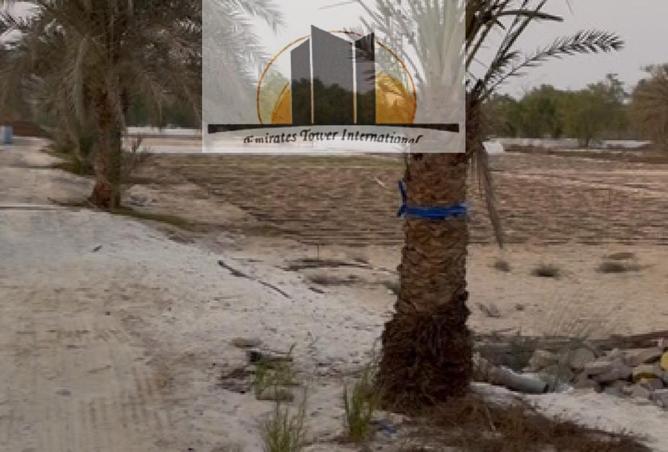 16327934 - صورة العقار 2