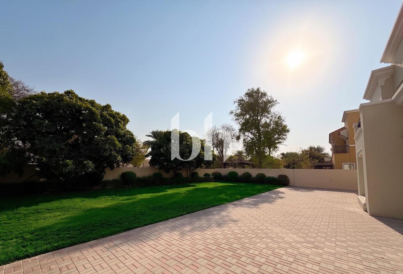 Large Plot | Excellent Condition | Single Row photo 3