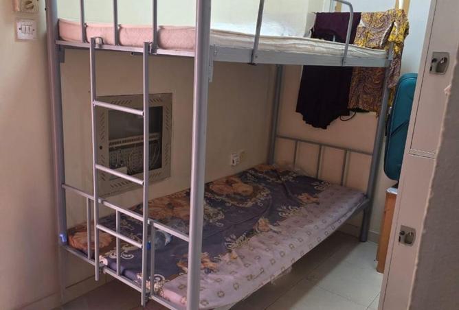 16081832 - Property Image 3