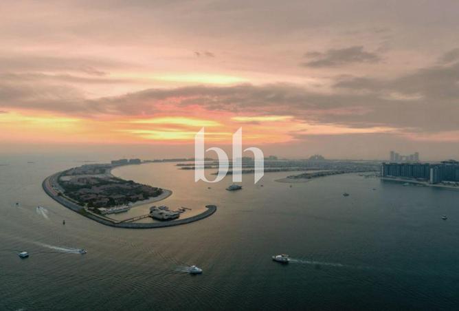 16004033 - Property Image 2