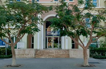 Apartment - 1 Bedroom - 1 Bathroom for rent in Building 179 - Mogul Cluster - Discovery Gardens - Dubai