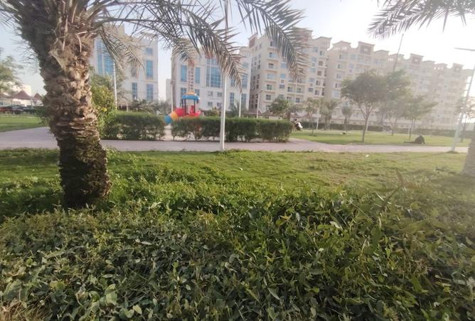 131537468 - صورة العقار 3