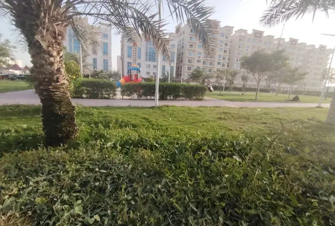 131537468 - Property Image 3