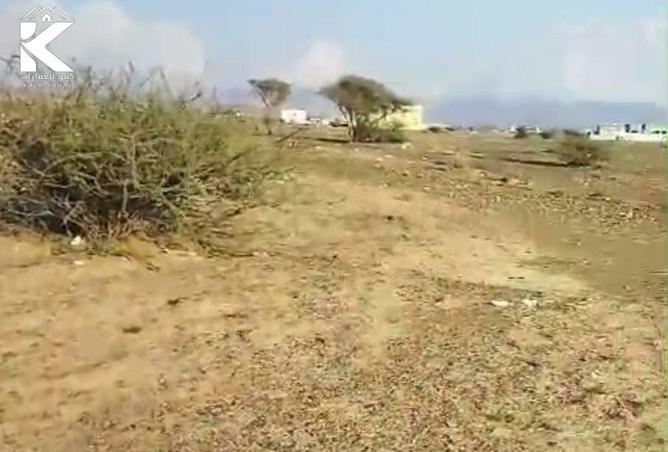 16048968 - صورة العقار 3