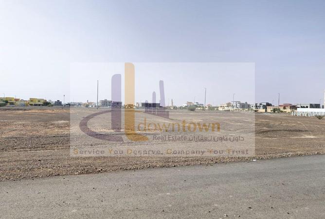 16223297 - Property Image 3