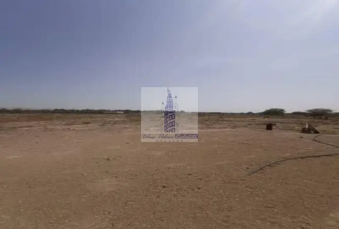 146423841 - Property Image 2
