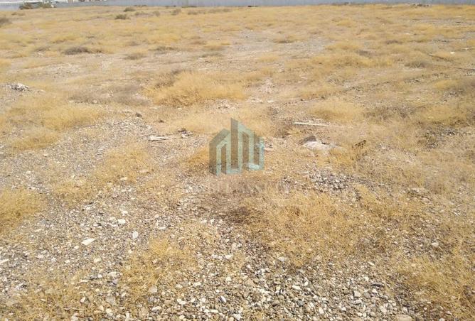 16208002 - Property Image 3