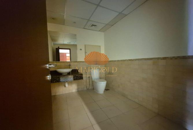 16243648 - Property Image 3