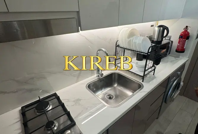 103241680 - Property Image 3