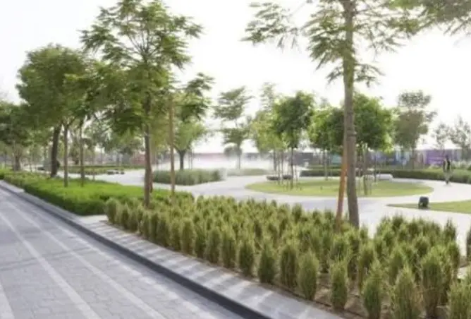 165036441 - Property Image 3