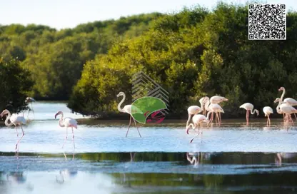 Land - Studio for sale in Marina - Al Zorah - Ajman