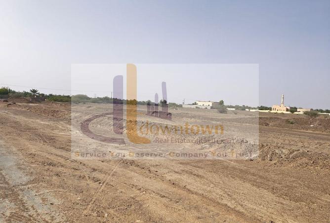 54012396 - Property Image 3