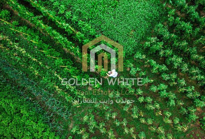 16030351 - صورة العقار 2