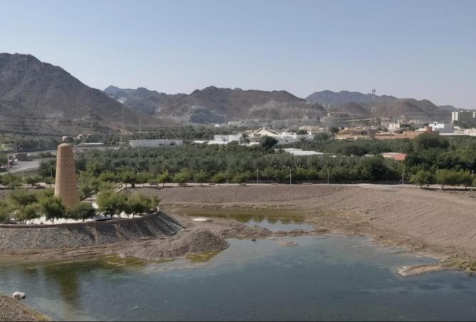 58570277 - الصورة الرئيسية للعقار