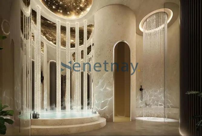 16239623 - Property Image 3