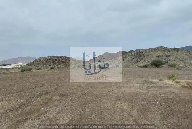 128812476 - Property Image 2