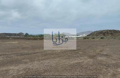 Farm - Studio for rent in Umm Dir - Umm Al Quwain