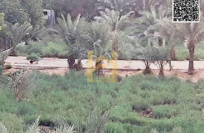 Farm - Studio for rent in Umm Al Quwain Marina Villas - Umm Al Quwain Marina - Umm Al Quwain