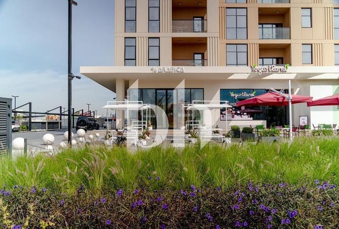 16308496 - Property Image 3