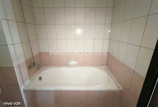 146902648 - Property Image 3