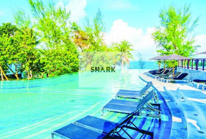 16300908 - Property Image 3