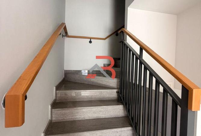 104256668 - Property Image 3