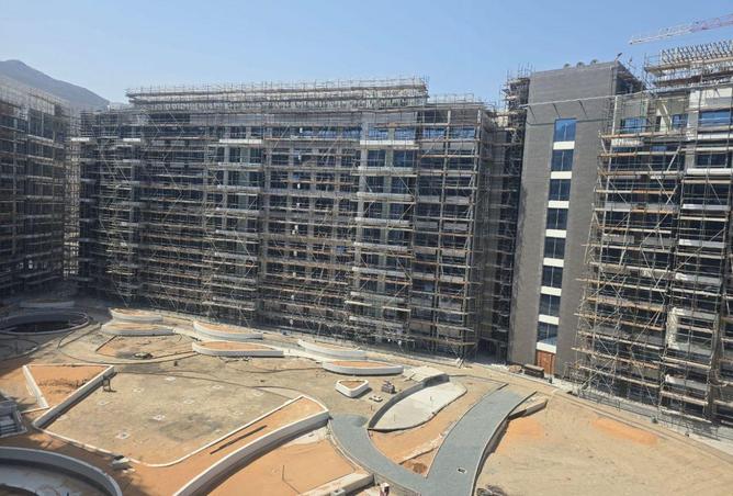 16188690 - Property Image 3