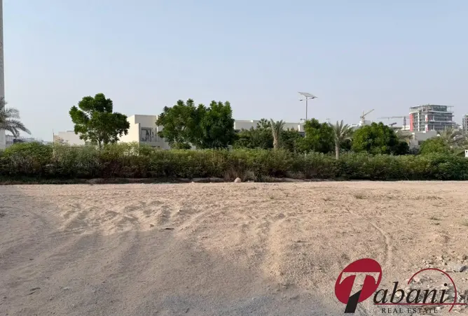 163234815 - Property Image 3