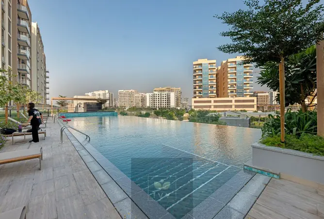 166057872 - Property Image 3