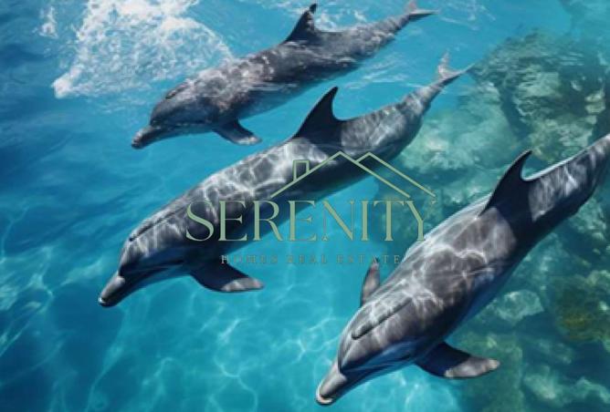 60541634 - Property Image 2