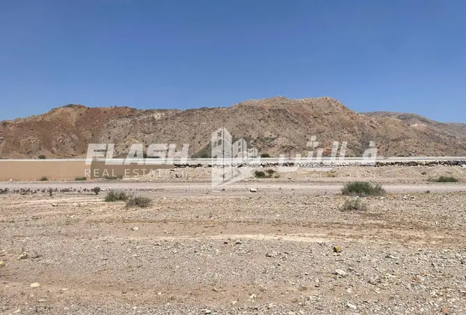 152814732 - Property Image 3