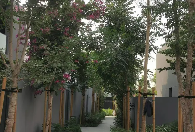 93140139 - صورة العقار 3