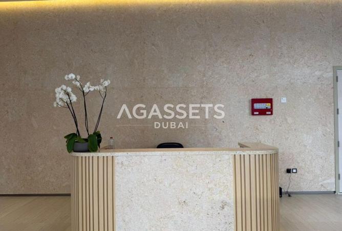 81113467 - Property Image 3