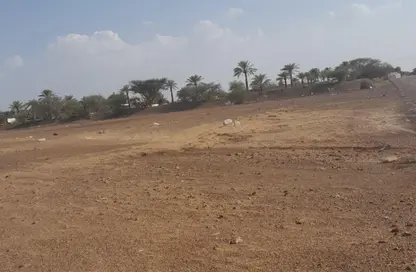 أرض - استوديو للبيع في المنامة - عجمان