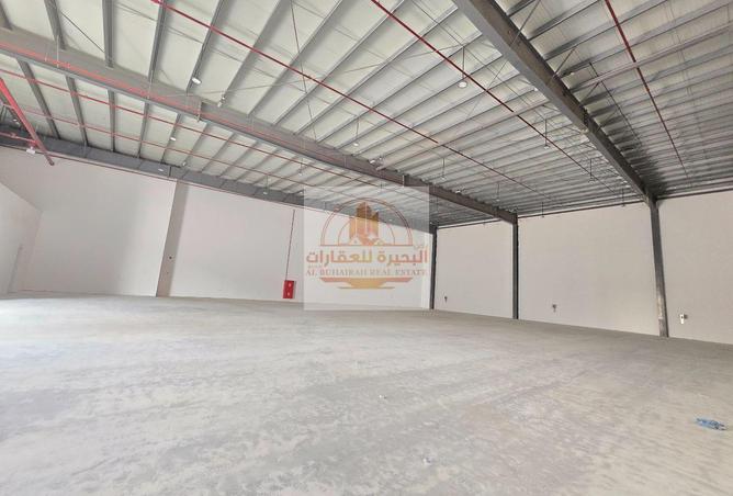 16262503 - Property Image 3