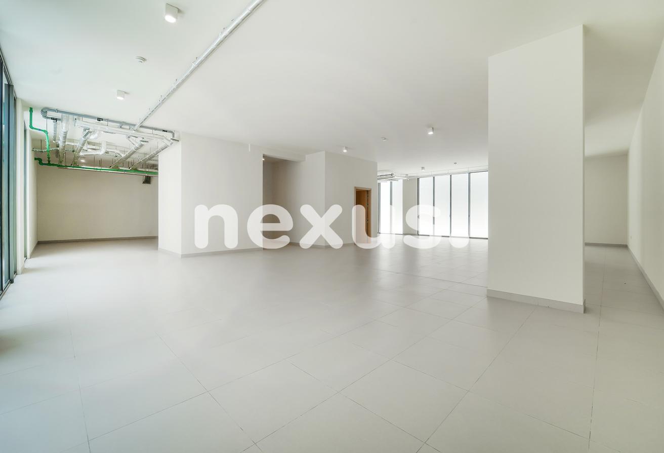 BRAND NEW VILLA | LANDSCAPED| MULTIPLE UNITS photo 6