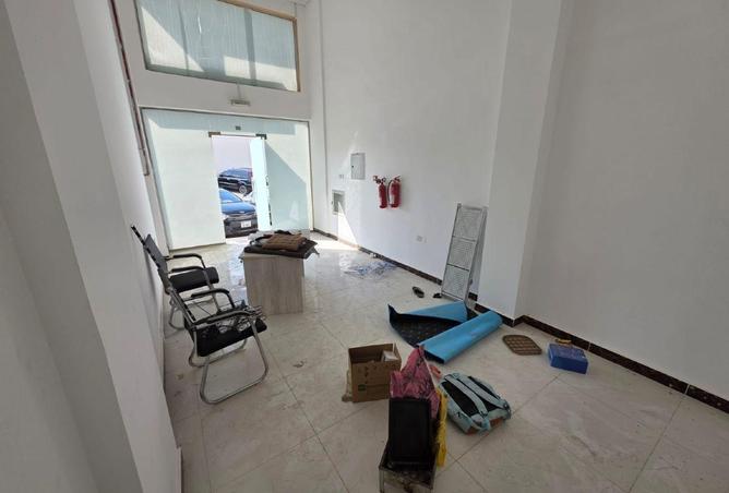 16162596 - Property Image 3