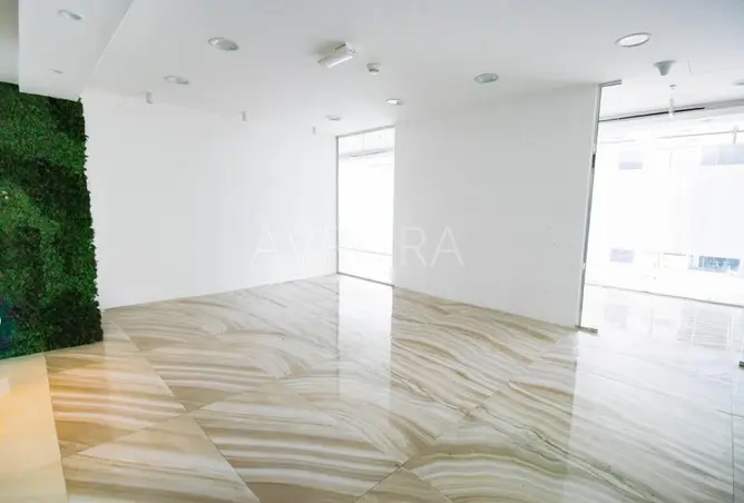 165581008 - Property Image 3