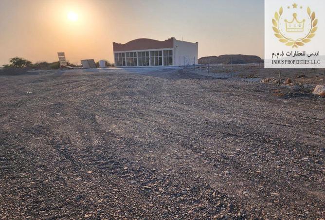 16213161 - Property Image 2