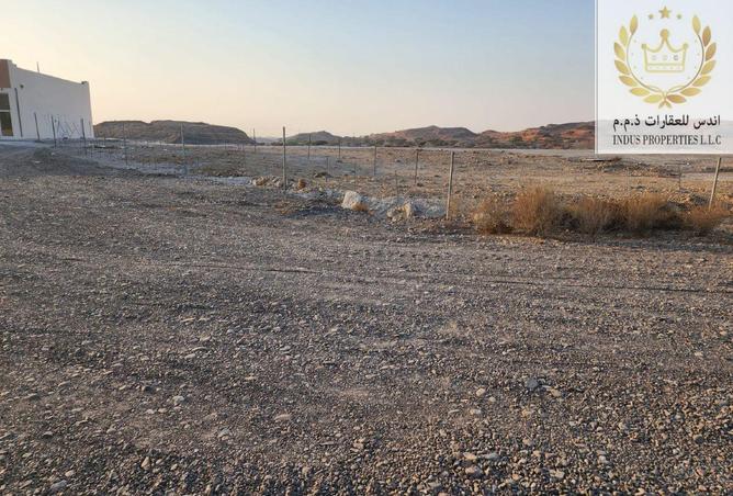 16213161 - Property Image 3