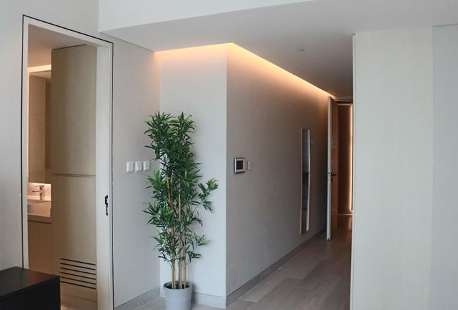 126542047 - Property Image 3