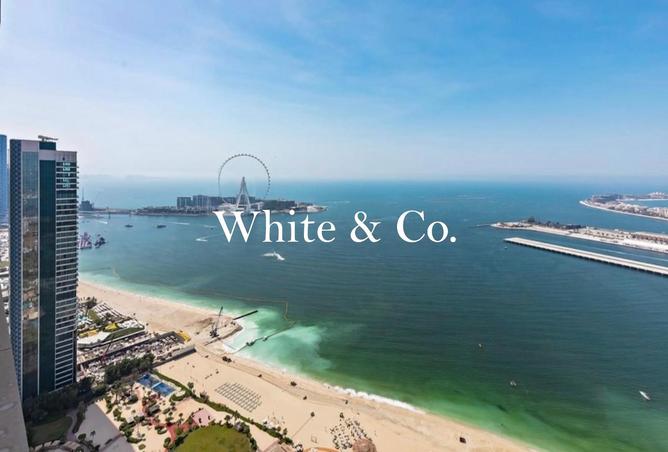 16124125 - صورة العقار 2