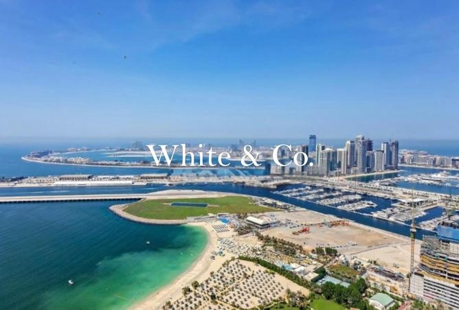 16124125 - صورة العقار 3