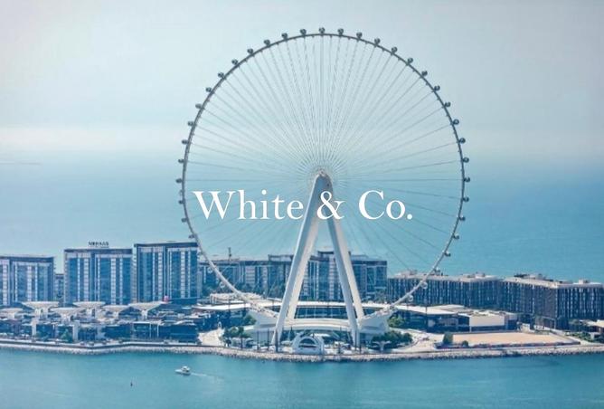 16124125 - الصورة الرئيسية للعقار