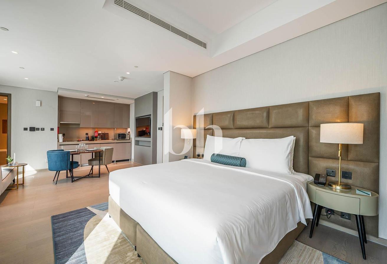 Luxury Studio | Spacious | Furnished and Ready photo 6