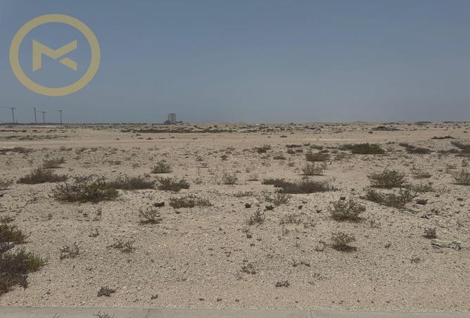 16159962 - Property Image 3