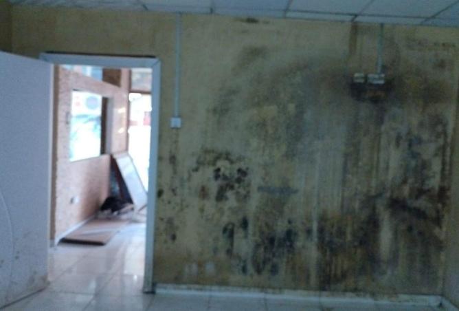 16273767 - صورة العقار 3