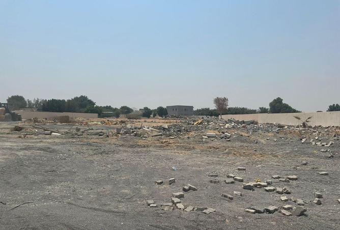 16278019 - Property Image 3