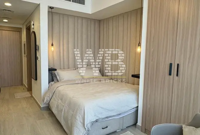 146437555 - Property Image 3