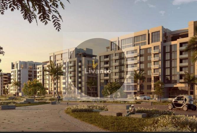 136562179 - Property Image 2